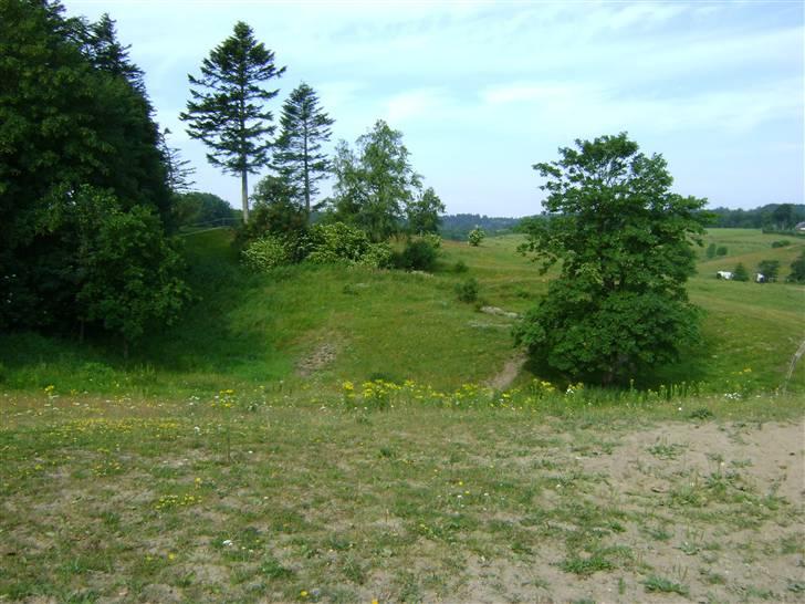 Herregårdsferie med Fabi billede 26