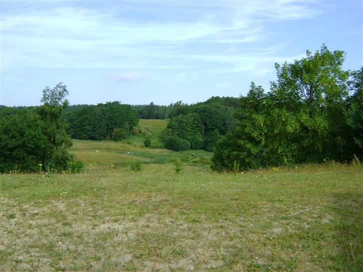 Herregårdsferie med Fabi billede 27