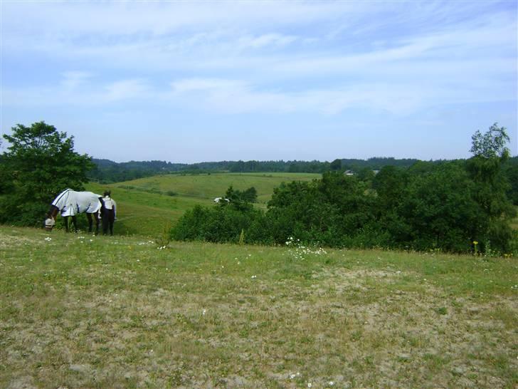 Herregårdsferie med Fabi billede 28
