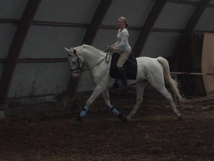 {{currentPhoto.altText}} billede {{currentPhoto.number}}