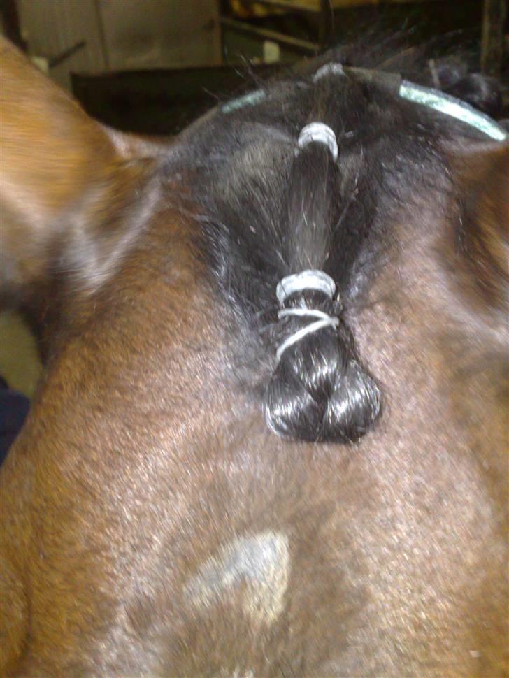 Min far til flettekursus billede 4