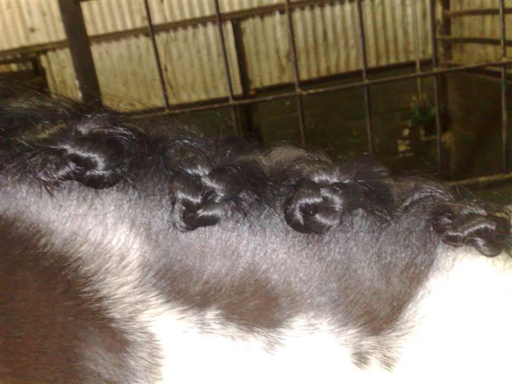 Min far til flettekursus billede 5