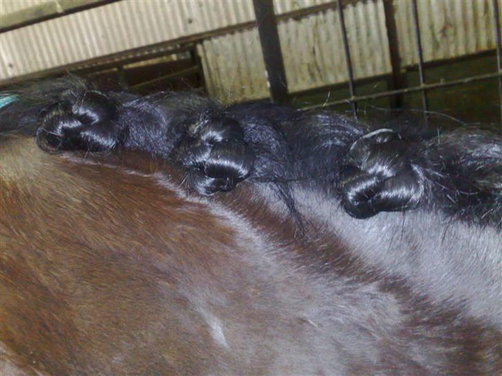 Min far til flettekursus billede 6