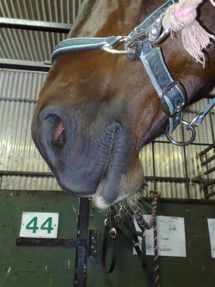 Min far til flettekursus billede 7