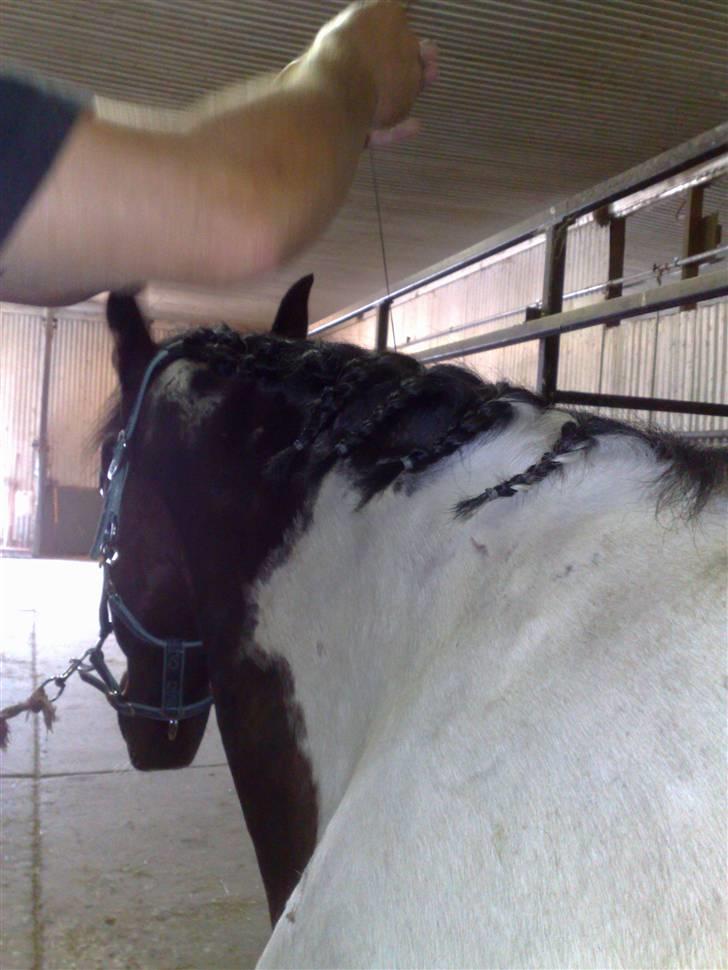 Min far til flettekursus billede 8