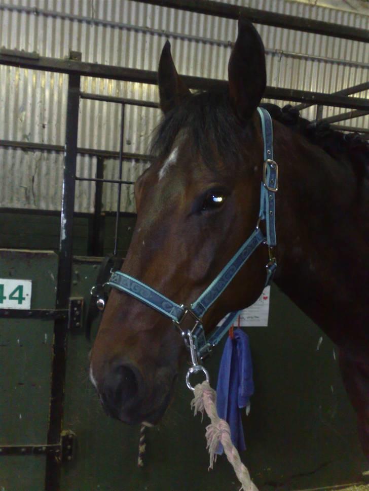 Min far til flettekursus billede 10