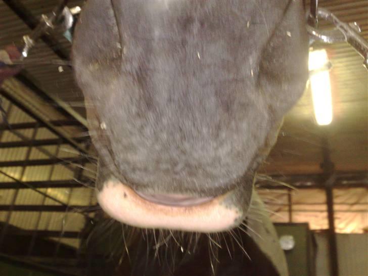 Min far til flettekursus billede 11