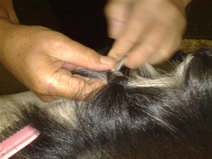 Min far til flettekursus billede 12