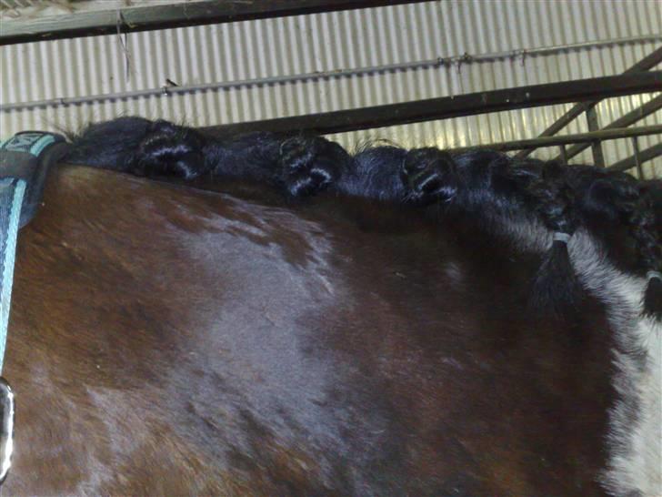 Min far til flettekursus billede 14