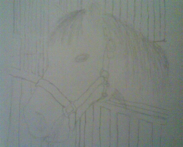 Tegninger og malerier - Flying angel (flya) billede 16