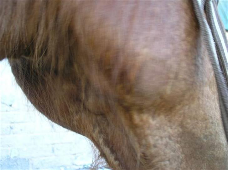 Udslæt :. mineralmangel  eller .. - 7 juli. billede 4