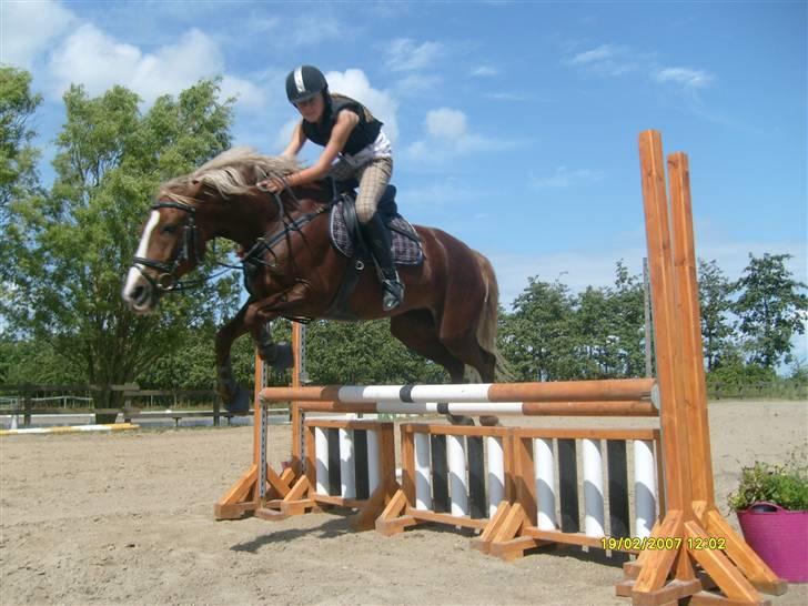 Springdag på Candy :D billede 2