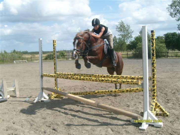 Springdag på Candy :D billede 3