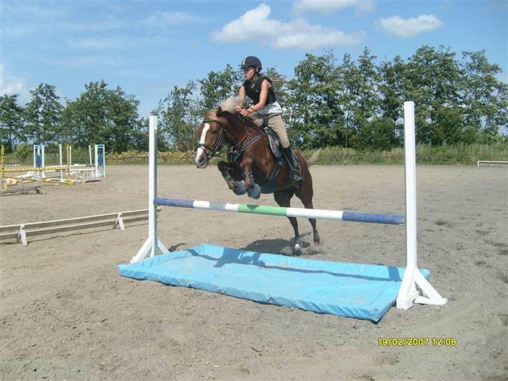 Springdag på Candy :D billede 4