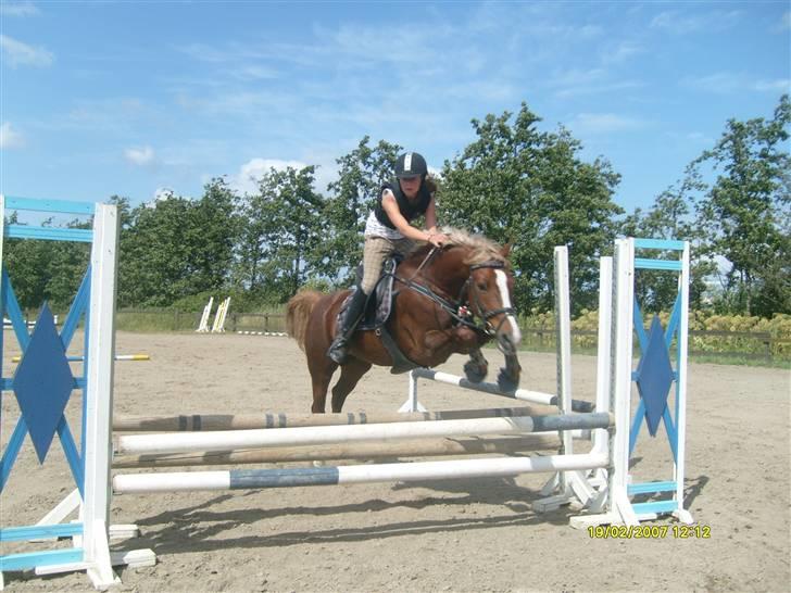 Springdag på Candy :D billede 6