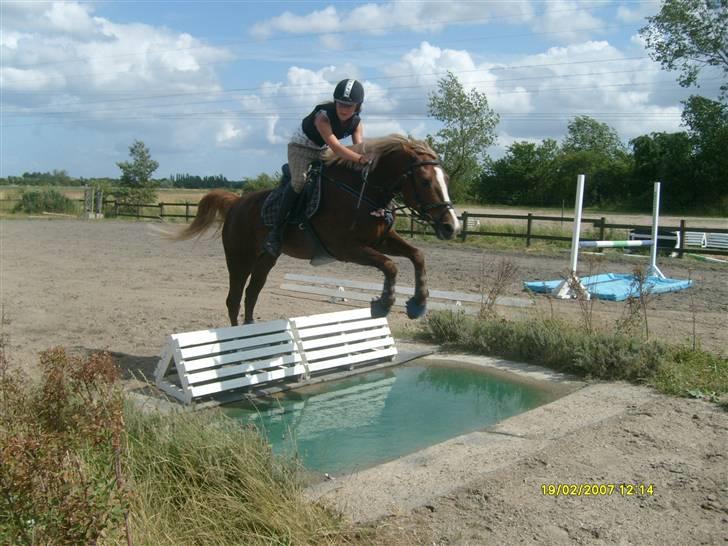 Springdag på Candy :D billede 7