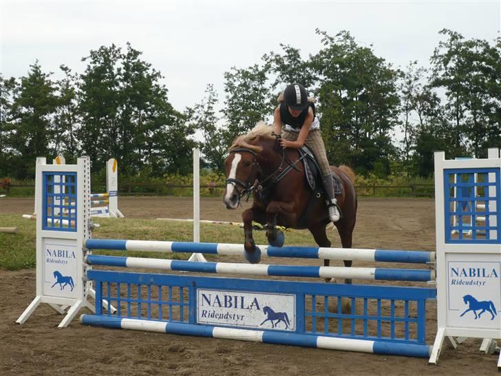 Springdag på Candy :D billede 10