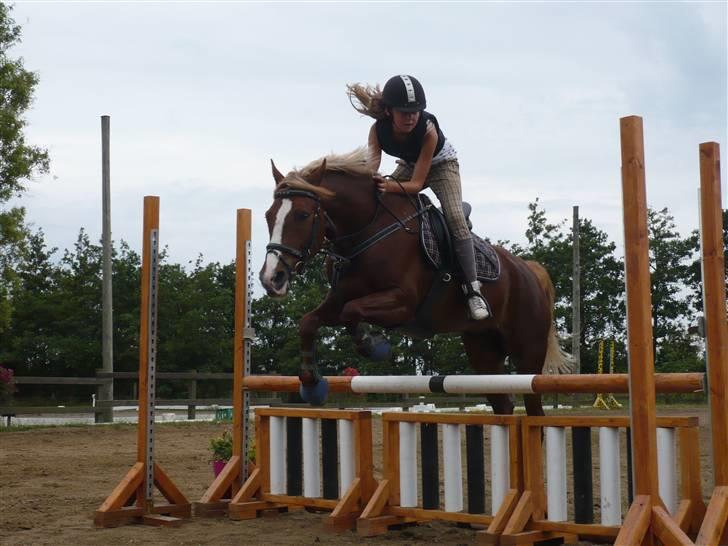 Springdag på Candy :D billede 11