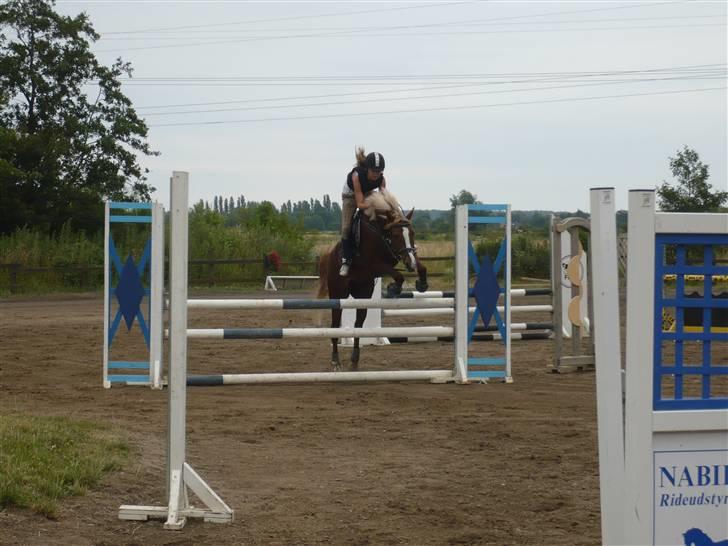 Springdag på Candy :D billede 12