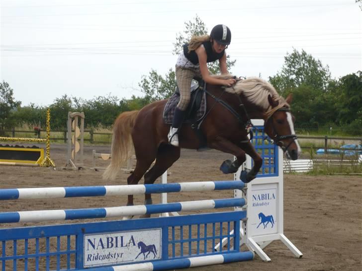 Springdag på Candy :D billede 13