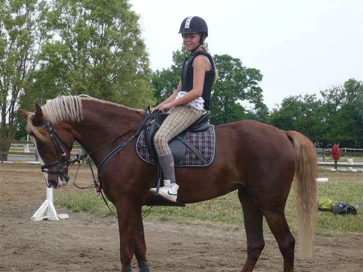 Springdag på Candy :D billede 14