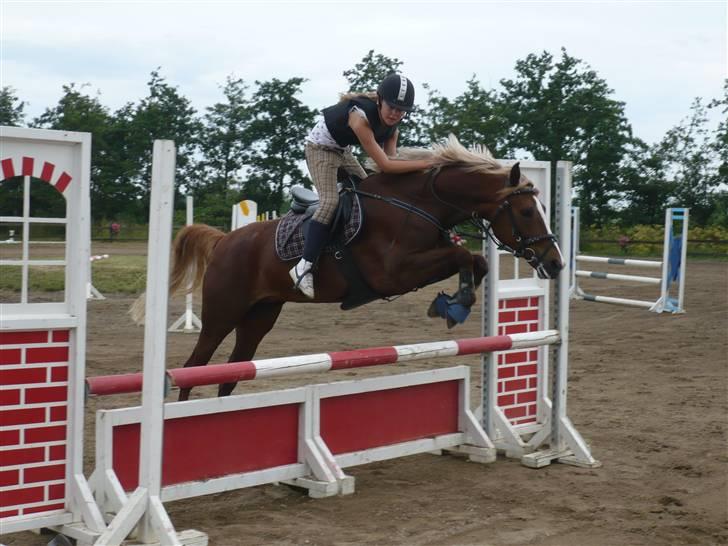 Springdag på Candy :D billede 15