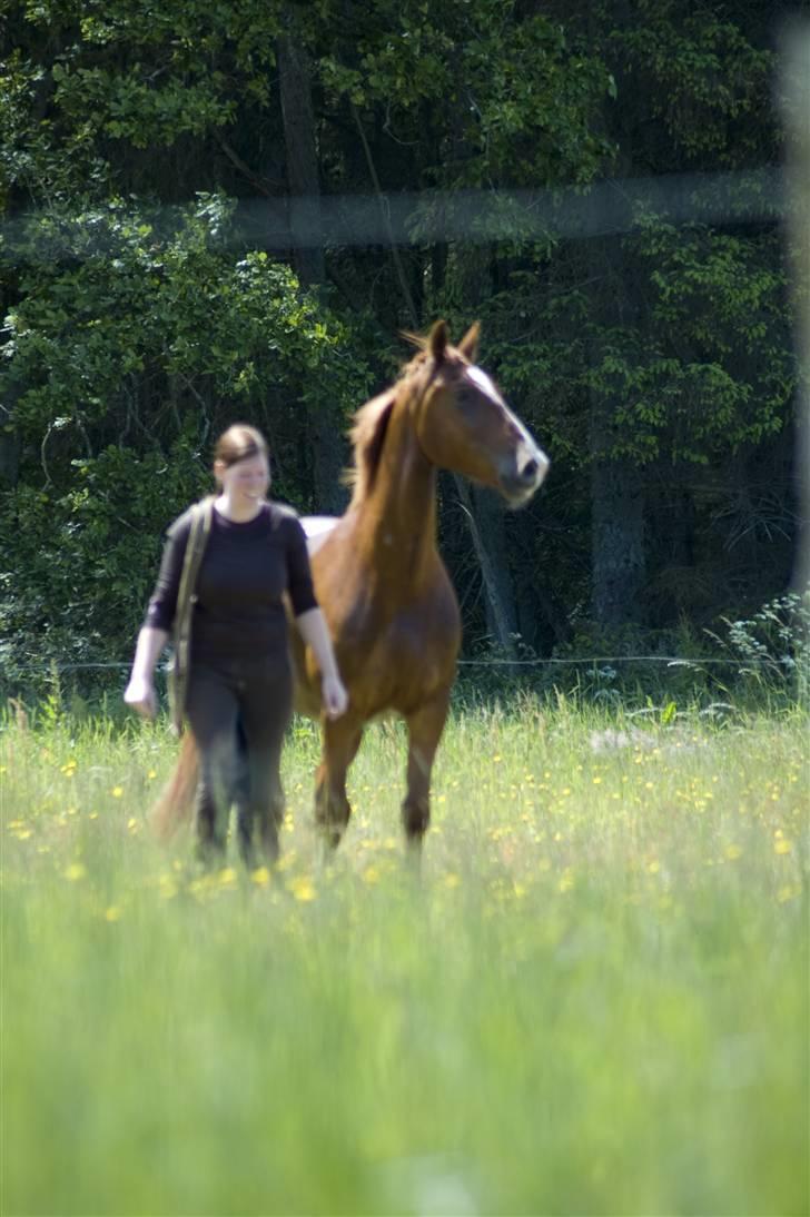 Sommerferie billeder af Tasano og Ace - sommer 2009 billede 30