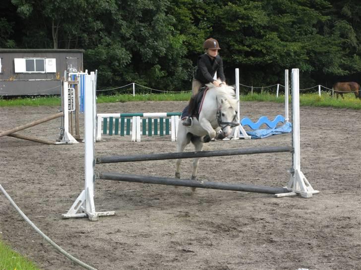 Frække fredrik - Wee den kan sørme hoppe billede 3