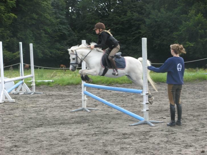 Frække fredrik - Seje lillemand billede 6