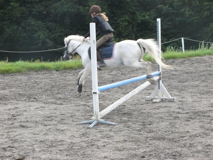 Frække fredrik - Hopper billede 8