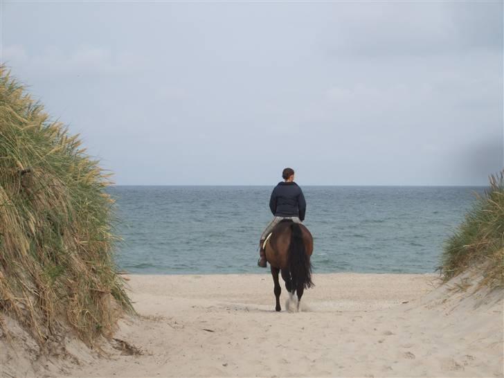ferie jylland ferie jylland