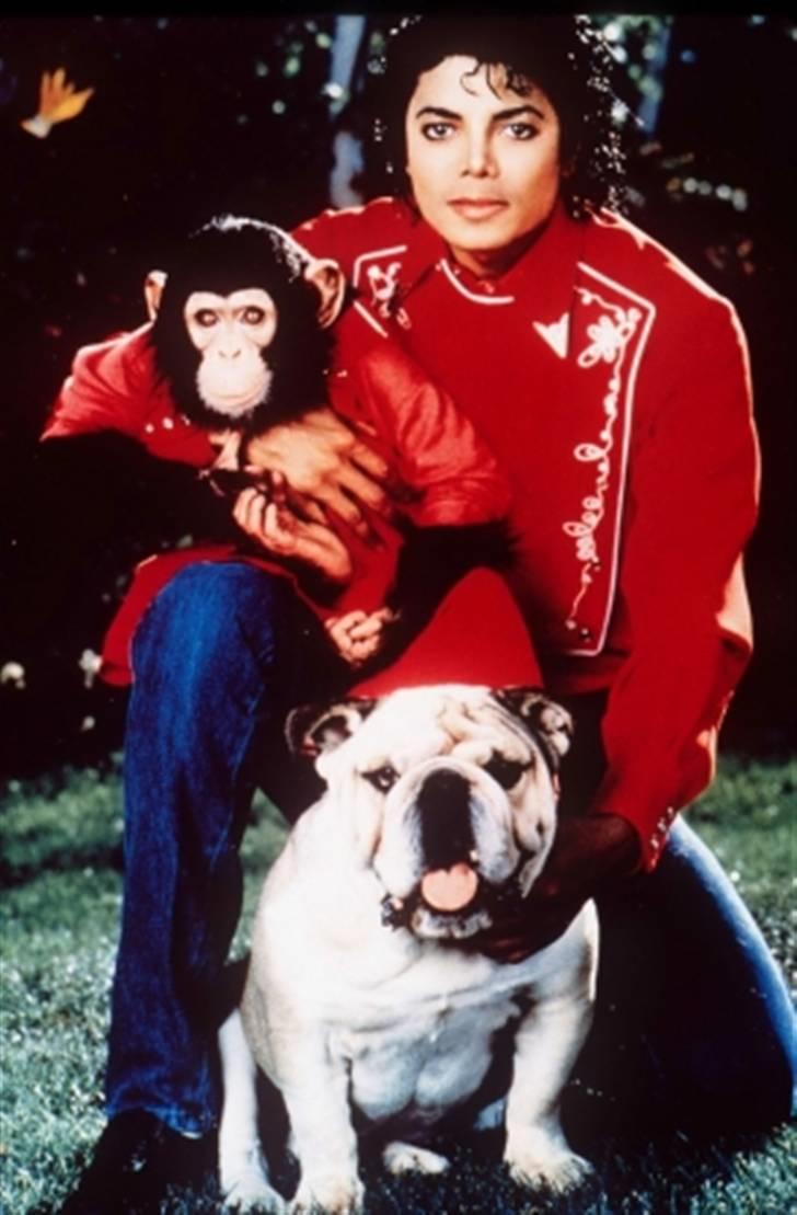 We miss you Michael Jackson  billede 38