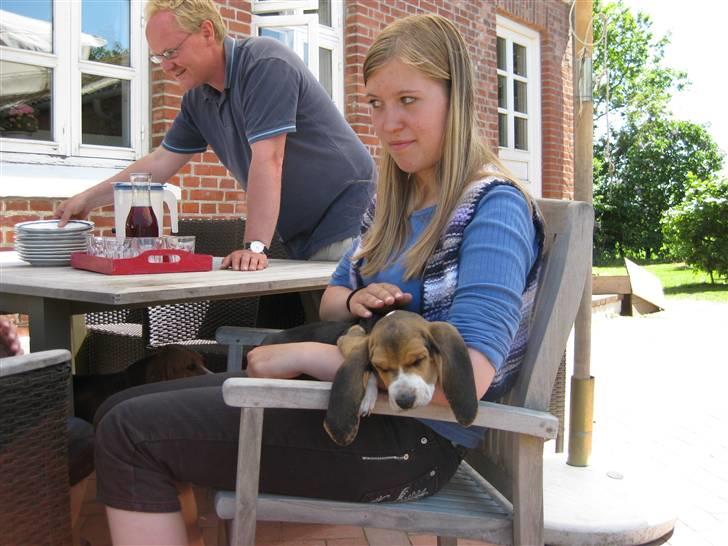 Min søde hund, Eddie...  - Mig, med en snorkboblende hvalp på armen.. billede 2