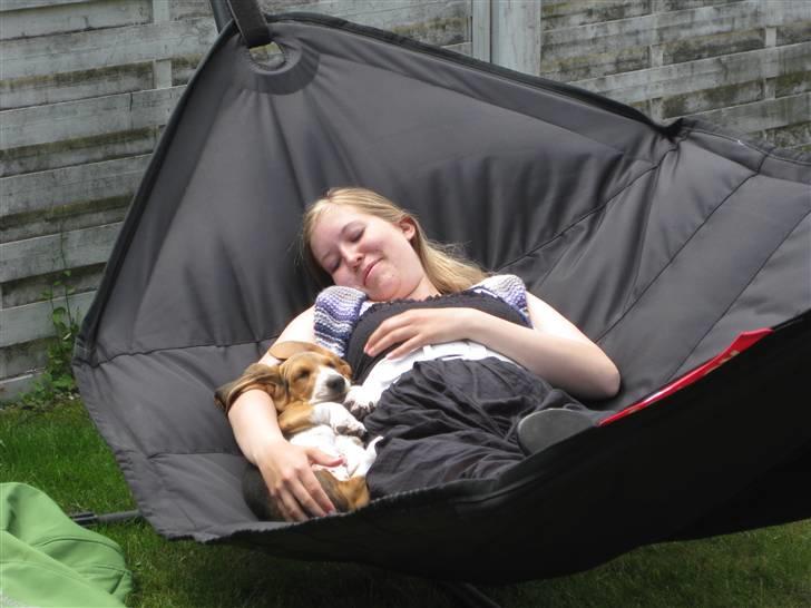 Min søde hund, Eddie...  - Hygge i hængekøjen... billede 7