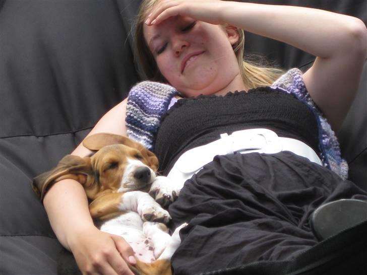 Min søde hund, Eddie...  - Mere hygge.. billede 8