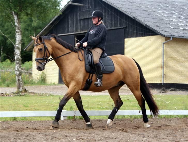 Herregårdsferie med Fabi billede 34