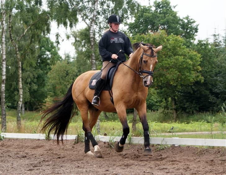Herregårdsferie med Fabi billede 35
