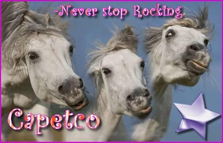 Billeder jeg har lavet  billede 2