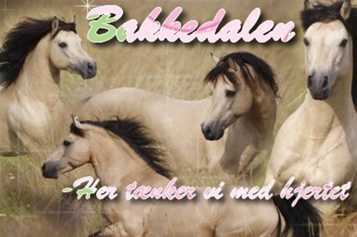 Billeder jeg har lavet  billede 3