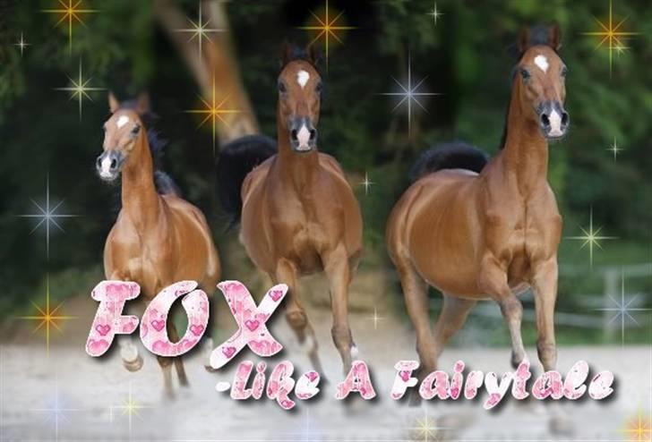 Billeder jeg har lavet  billede 5