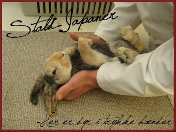 Billeder jeg har lavet  billede 7