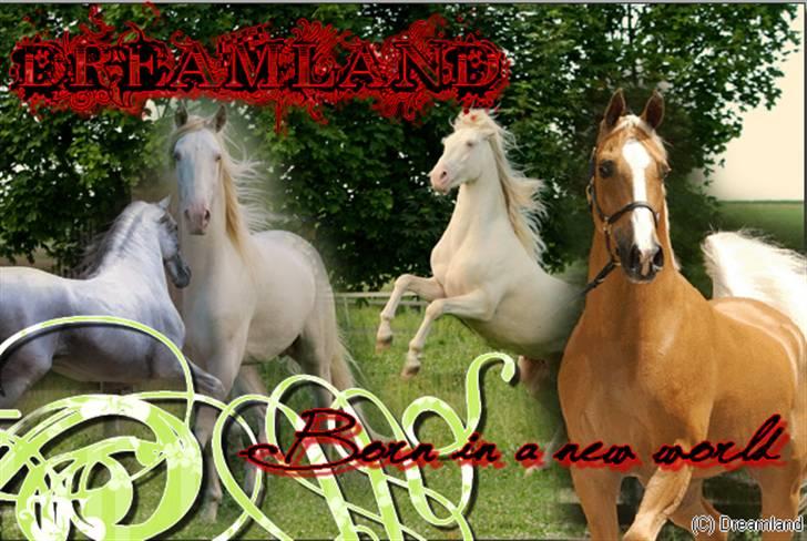 Billeder jeg har lavet  billede 8