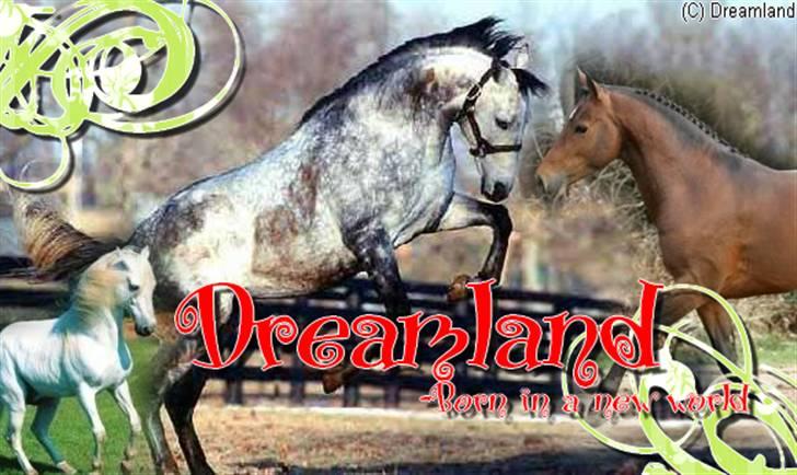 Billeder jeg har lavet  billede 9