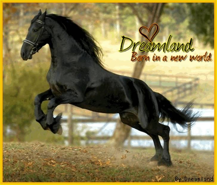 Billeder jeg har lavet  billede 10