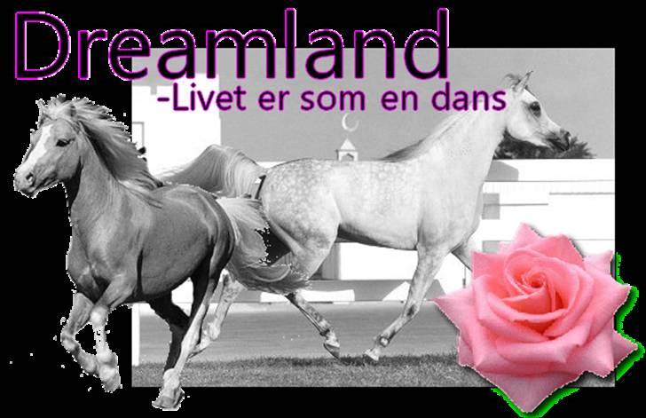 Billeder jeg har lavet  billede 11