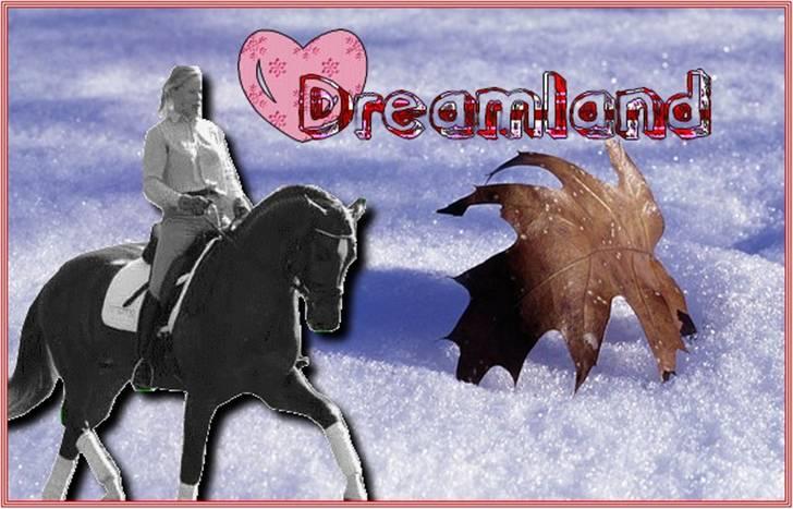 Billeder jeg har lavet  billede 13