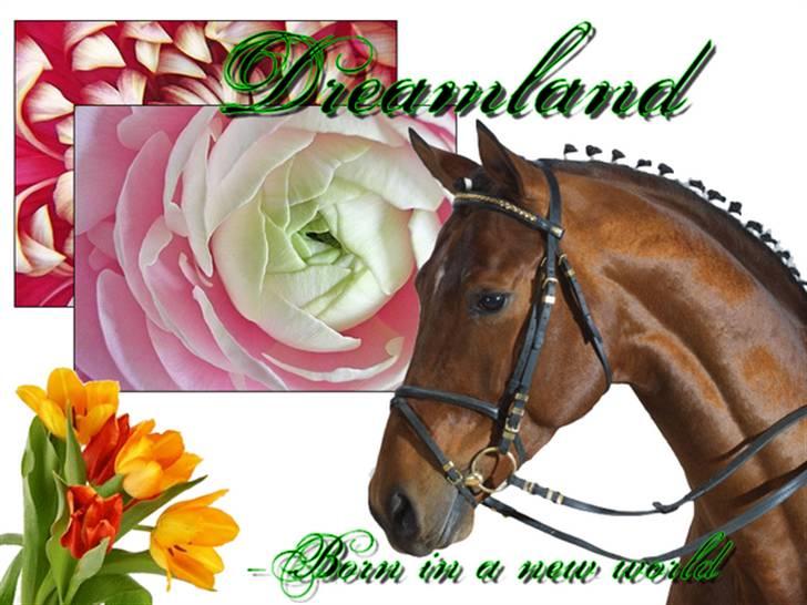 Billeder jeg har lavet  billede 14