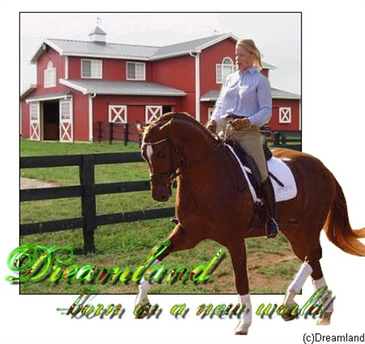 Billeder jeg har lavet  billede 15