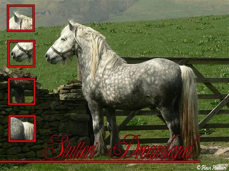 Billeder jeg har lavet  billede 16