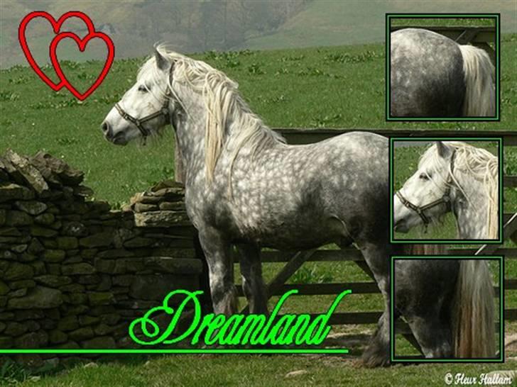 Billeder jeg har lavet  billede 17